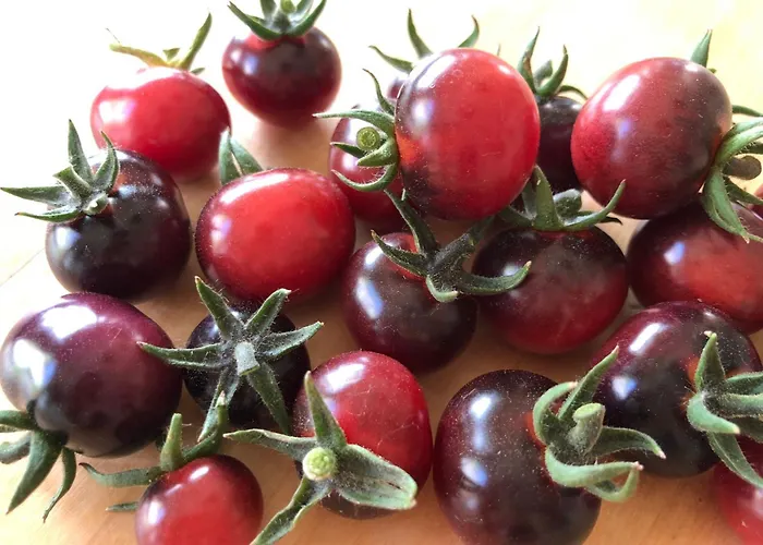 Café-pension Margret 3* Zirl