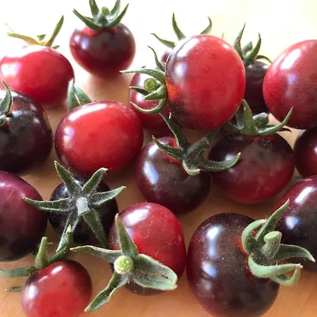 Cafe-pension Margret 3* Zirl