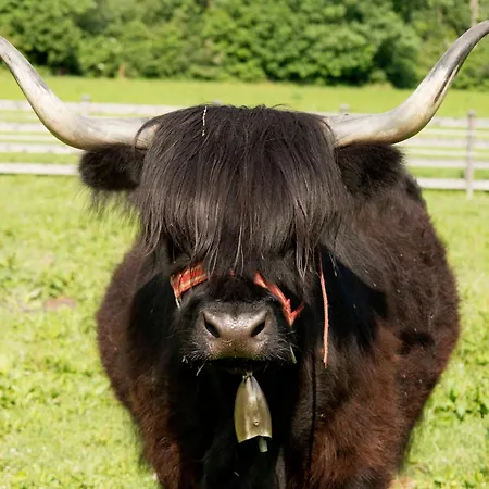 Cafe-pension Margret