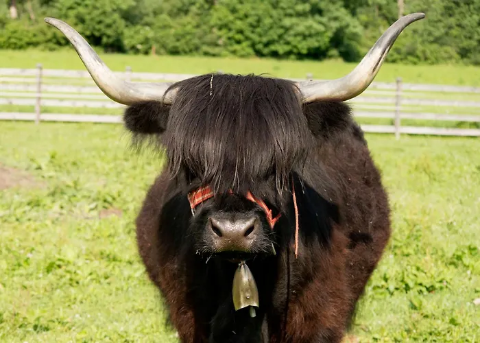 Cafe-pension Margret